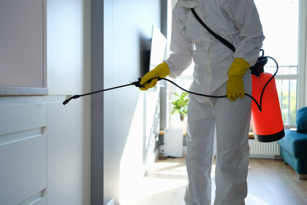 Mold Remediation for Rental Properties in Mount Olive, NC